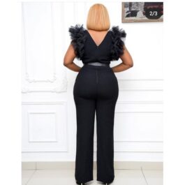 Ladies Fashionable Jumpsuit With Mesh Without...