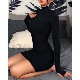 Turtle Neck Bodycon Mini Dress